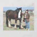 Pesquisar por cavalo clydesdale cartoes postais Esboço