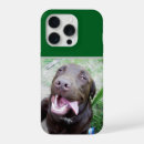 Pesquisar por cachorrinho iphone capas Filhote