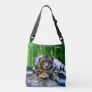 Pesquisar por leopardo vermelho Gato grande