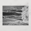 Pesquisar por pienza cartoes postais Jones
