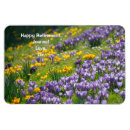 Pesquisar por mensagens imas Diversão