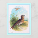 Pesquisar por lark cartoes postais Natureza