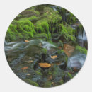Pesquisar por jayne adesivos Verde