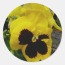 Pesquisar por misturado adesivos Floral
