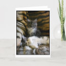 Pesquisar por gatinho kawaii cartoes Bonito