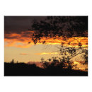 Pesquisar por coração nas nuvens pôsteres Natureza