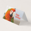 Pesquisar por animais exóticos cartoes Papagaio