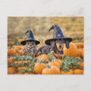 Pesquisar por remendos cartoes postais Dachshund
