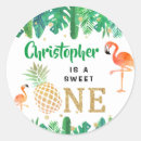 Pesquisar por aniversário luau adesivos Primeiro aniversario