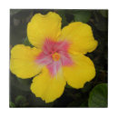 Pesquisar por flores cravo defunto azulejos Floral