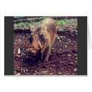 Pesquisar por warthog cartoes postais África