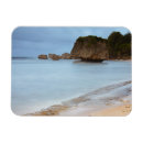 Pesquisar por barbados imas Natureza