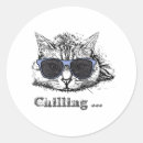 Pesquisar por gato nos óculos de sol adesivos Fofo