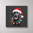 Pesquisar por pijamas impressão de canvas Cachorrinho