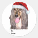 Pesquisar por hound adesivos Natal