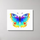 Pesquisar por borboleta arco íris impressão de canvas Colorido