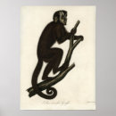 Pesquisar por macaco vintage artes pôsteres Retro