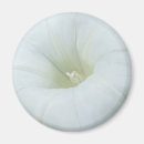 Pesquisar por natureza glória Branco