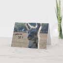 Pesquisar por 70 anos velho aniversario cartoes Aniversário