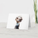 Pesquisar por farmácia cartoes Engraçado