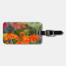 Pesquisar por andorinha bagagem tags Flor