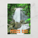Pesquisar por porte postal da floresta Rico
