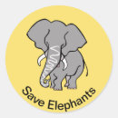 Pesquisar por elefante no amarelo adesivos Animal