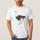 Pesquisar por pássaro dos desenhos animados camisetas Ilustração