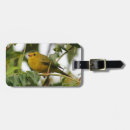 Pesquisar por observador bagagem tags Natureza