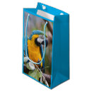 Pesquisar por macaw sacos Pássaro