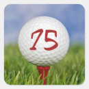 Pesquisar por 75 adesivos Partido