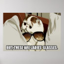 Pesquisar por gato memes pôsteres Internet
