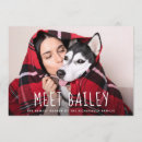 Pesquisar por adotado convites Moderno