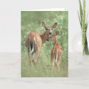 Pesquisar por mother nature cartoes Animals