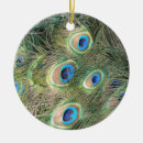 Pesquisar por pena do pavão ornamentos Colorido