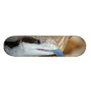 Pesquisar por lagarta skates Azul