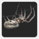 Pesquisar por aranhas adesivos Arte