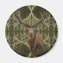 Pesquisar por stag imas Floresta