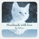 Pesquisar por amor bonito fotografia Gato