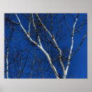 Pesquisar por poster bicho pôsteres Branco