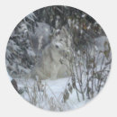 Pesquisar por siberian adesivos Cães