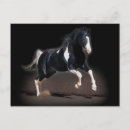 Pesquisar por cavalo ocidental cartoes postais Cor