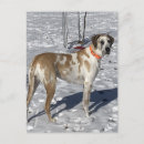 Pesquisar por cara triste cartoes postais Tristeza