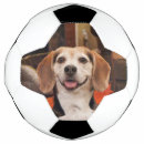 Pesquisar por animal estimação bola futebol Cão