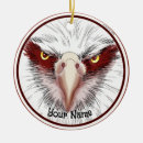 Pesquisar por usa ornamentos Águia careca