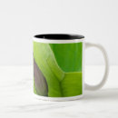 Pesquisar por well canecas Flora
