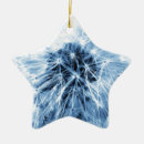 Pesquisar por mãe natureza ornamentos Flor