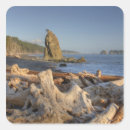 Pesquisar por judy adesivos Jamie