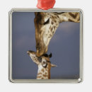 Pesquisar por africa ornamentos Girafa