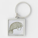 Pesquisar por boi chaveiros Animal